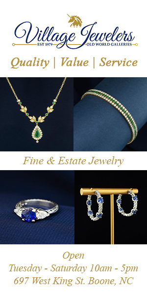 Advertisement: Village Jewelers 300x600